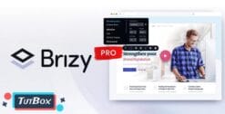 Brizy Builder Pro 2.3.7 (latest)