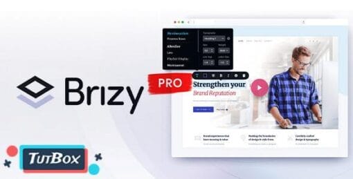 Brizy Pro Page Builder Download