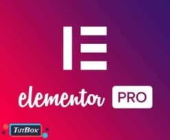 Elementor PRO 3.19.0 (latest) + Pro templates