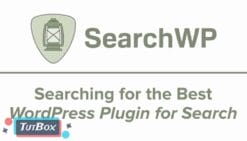 SearchWP 4.3.0 (latest)